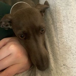 Meet your Posher, Olivia